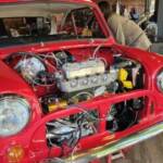 Limora-Mashiko さんのプロフィール写真